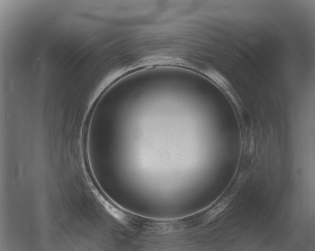 X0000052941438200507151631