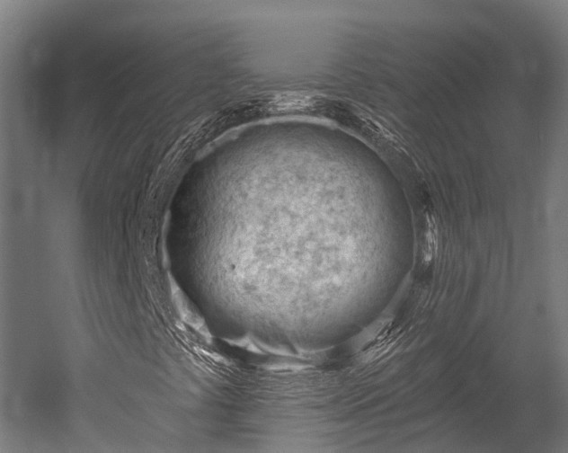 X0000052941441200507151631