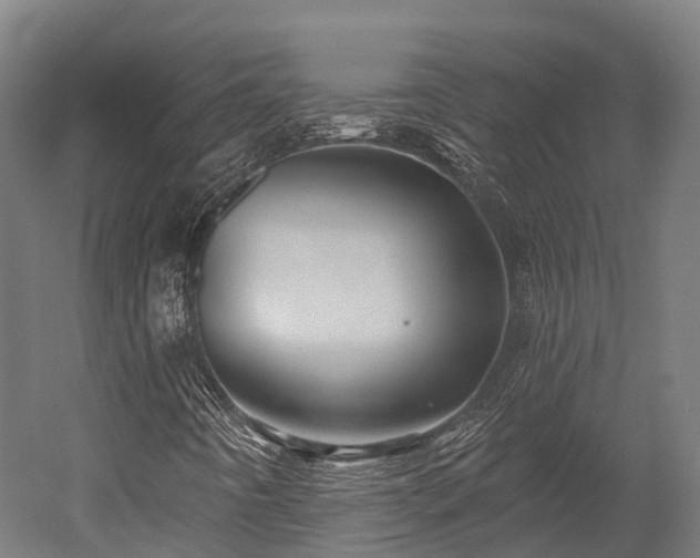 X0000052941442200507151631