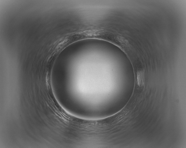 X0000052941444200507151630