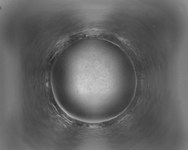 X0000052941445200507151630