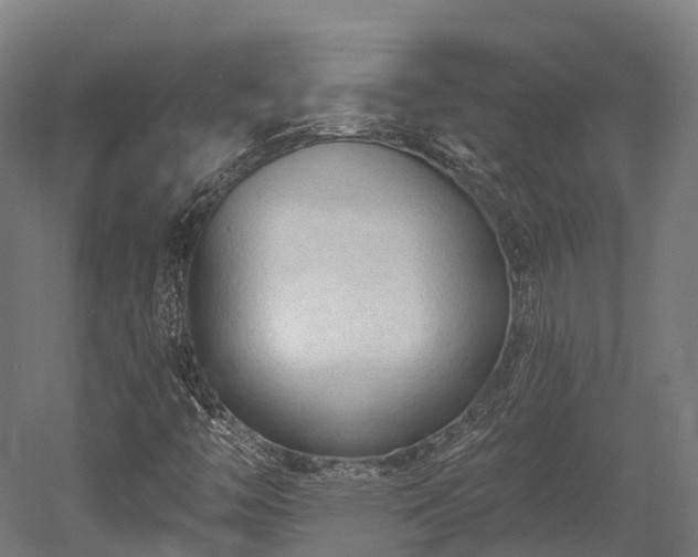 X0000052941446200507151630