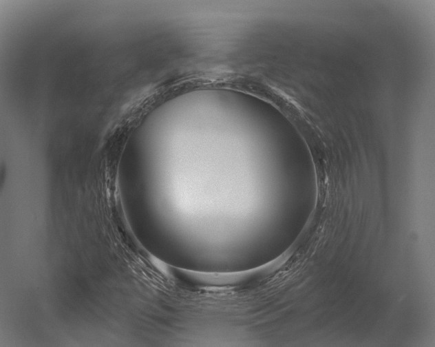 X0000052941447200507151630