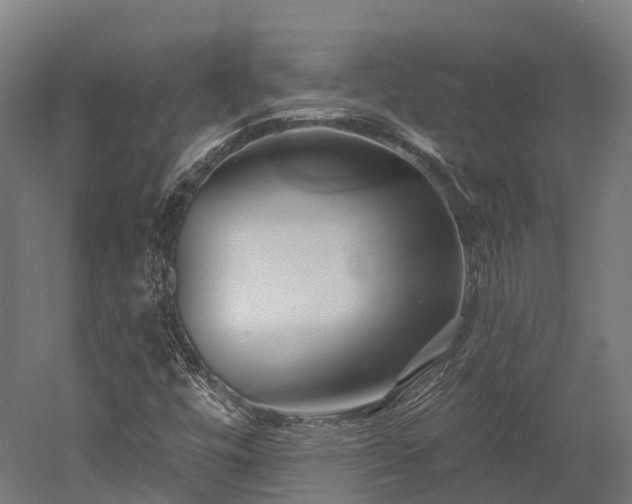 X0000052941448200507151630