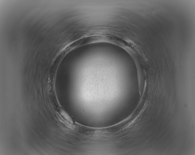 X0000052941449200507151630