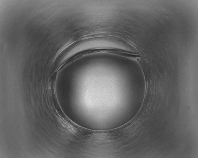 X0000052941450200507151630