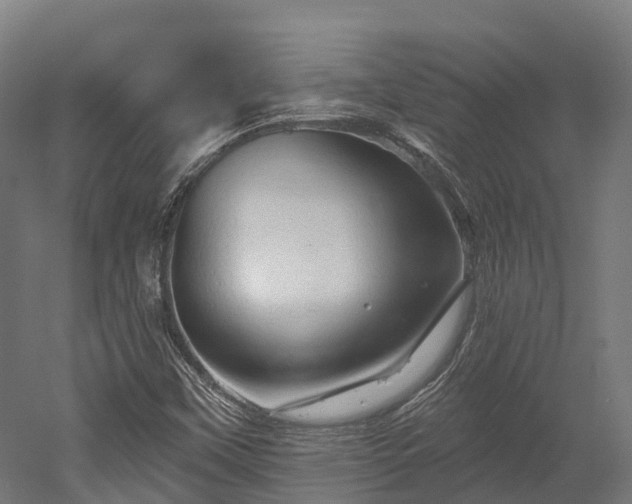 X0000052941451200507151630