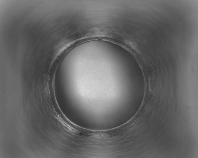 X0000052941452200507151630