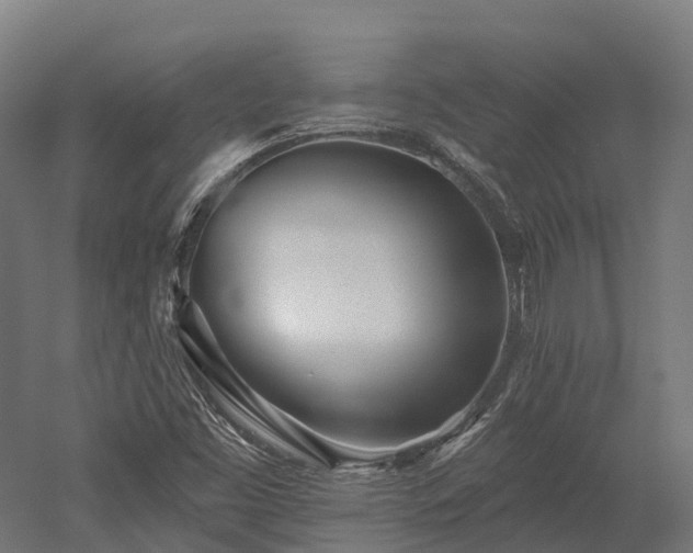 X0000052941453200507151630