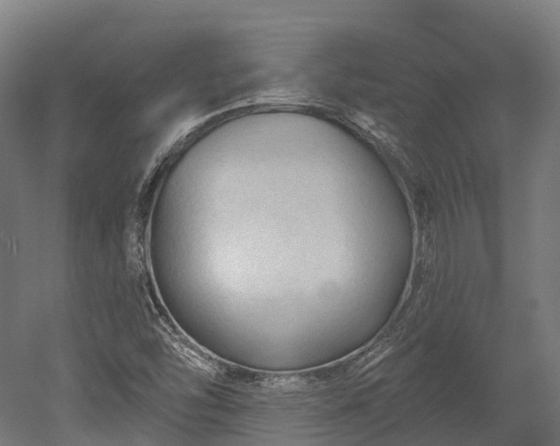 X0000052941454200507151630