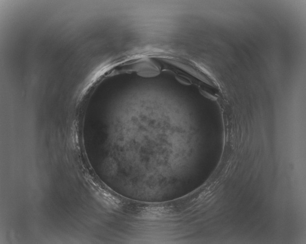 X0000052941455200507151630