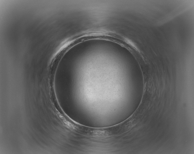 X0000052941456200507151630