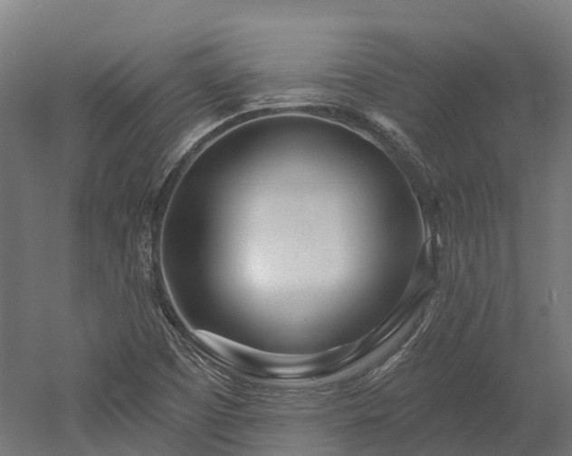 X0000052941457200507151630