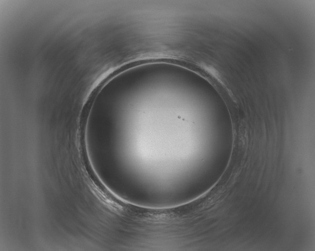 X0000052941460200507151630