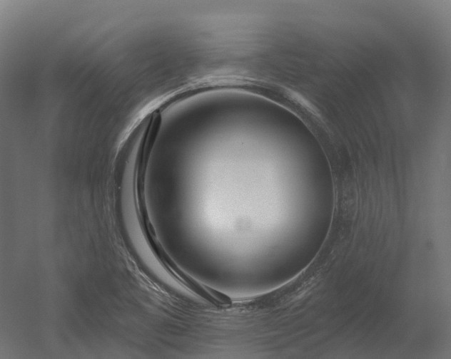 X0000052941461200507151630