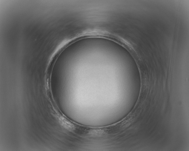 X0000052941462200507151630