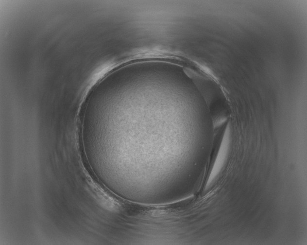 X0000052941463200507151630