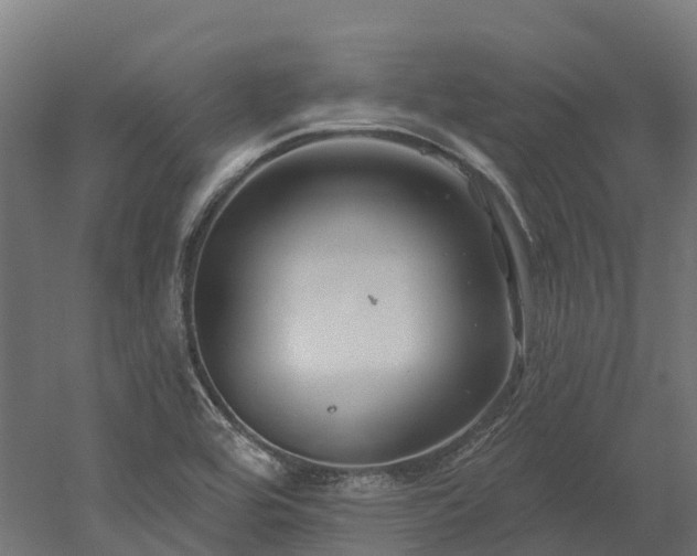 X0000052941464200507151630