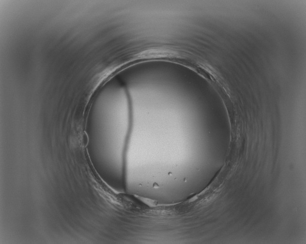 X0000052941465200507151630