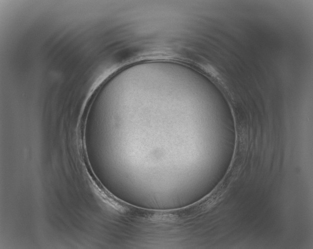 X0000052941466200507151630