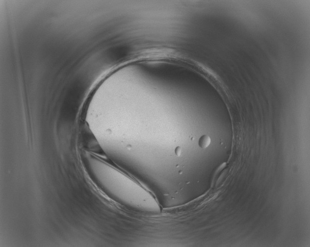 X0000052941467200507151630