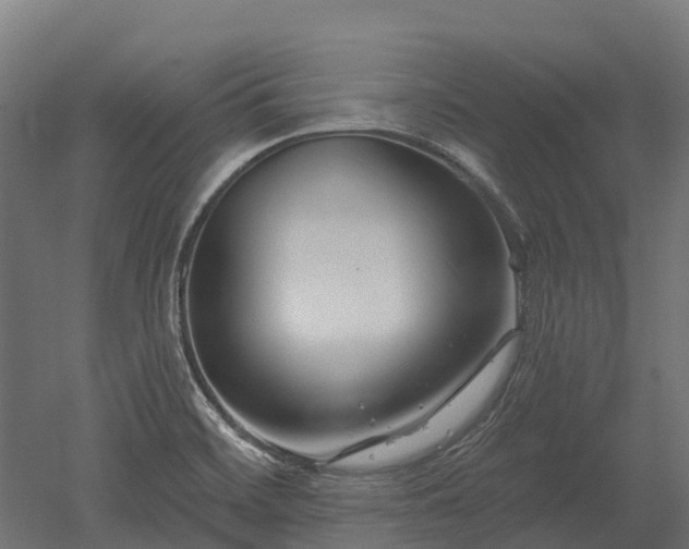 X0000052941468200507151630