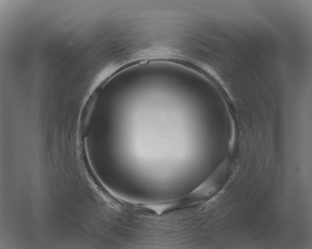 X0000052941469200507151630