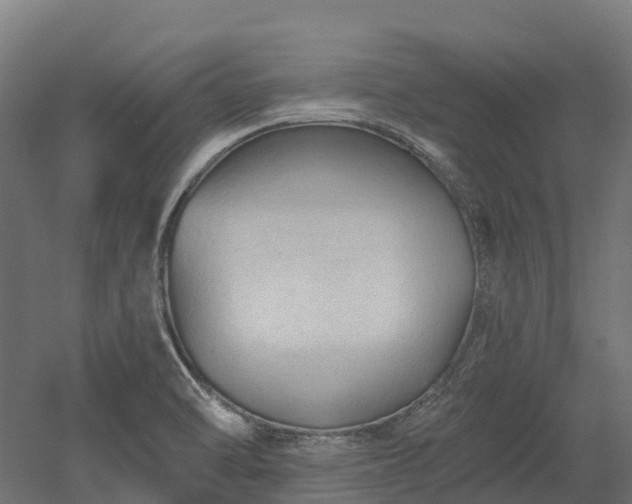 X0000052941470200507151630