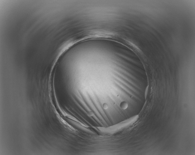 X0000052941471200507151630