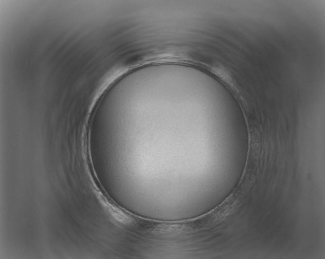 X0000052941474200507151630