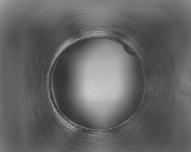 X0000052941475200507151630