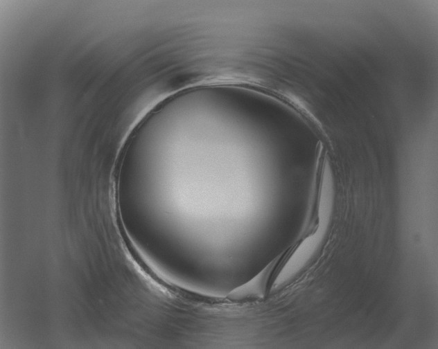 X0000052941476200507151630