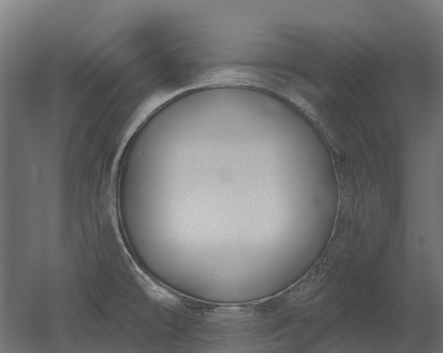 X0000052941478200507151630