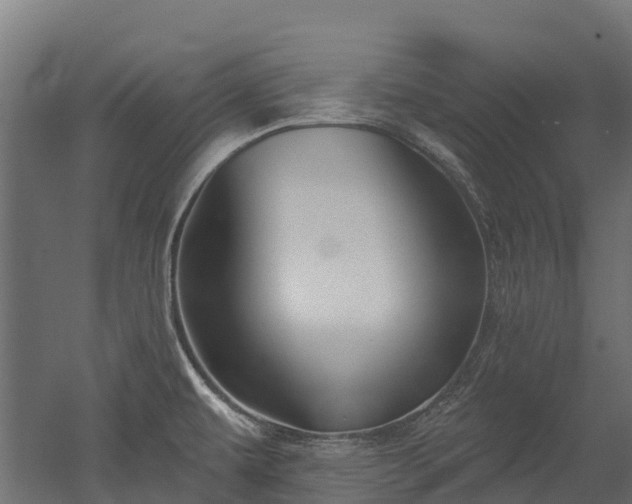 X0000052941479200507151630