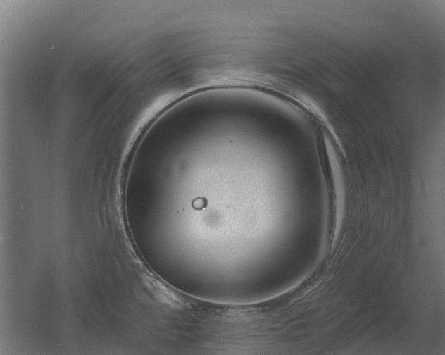 X0000052941480200507151630