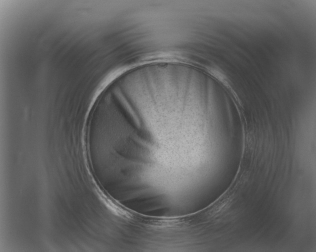 X0000052941482200507151630