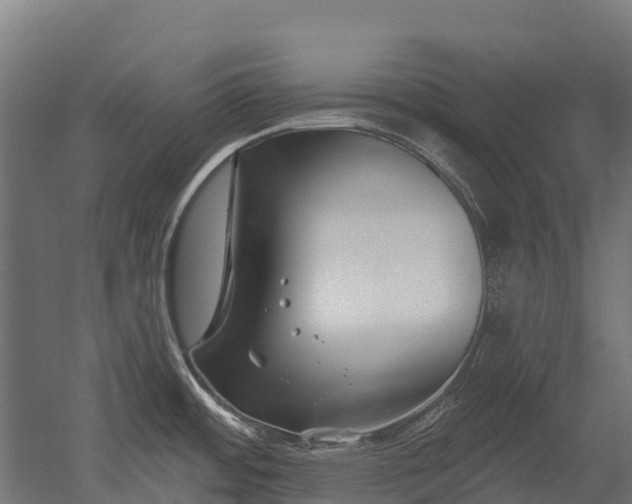 X0000052941484200507151630