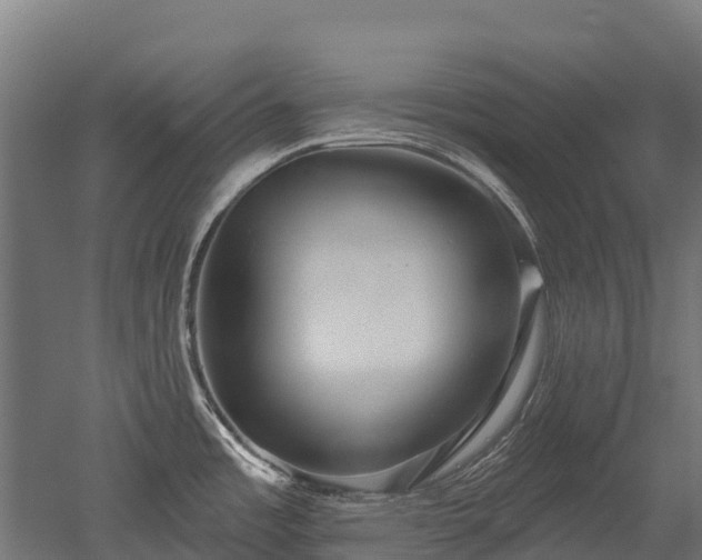 X0000052941485200507151630