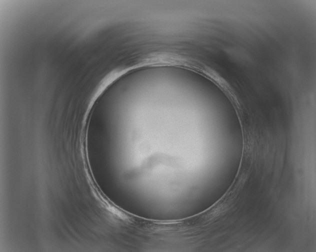 X0000052941486200507151630