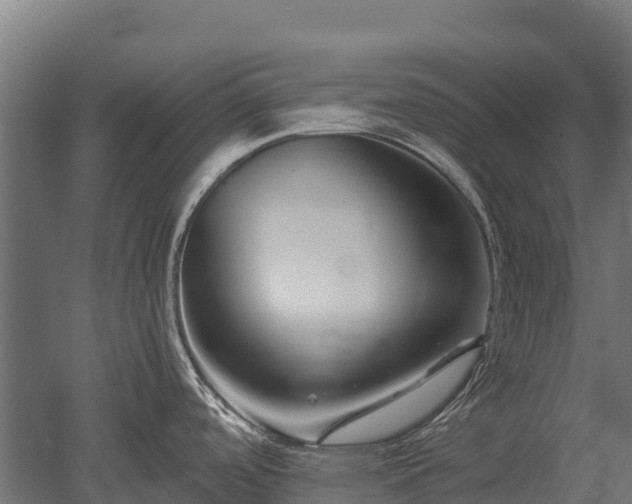 X0000052941488200507151630