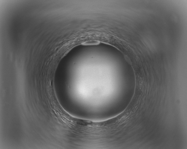 X0000052941489200507151629