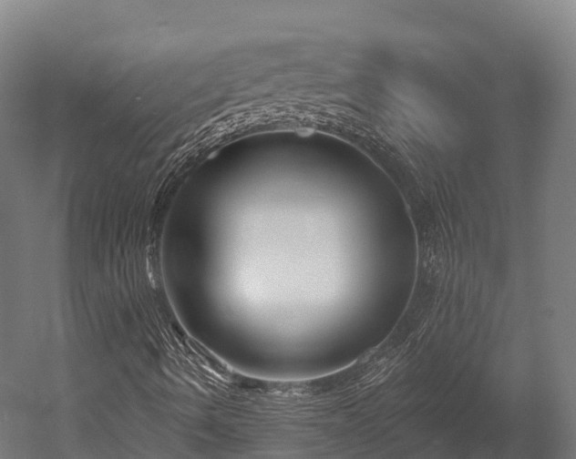 X0000052941490200507151629