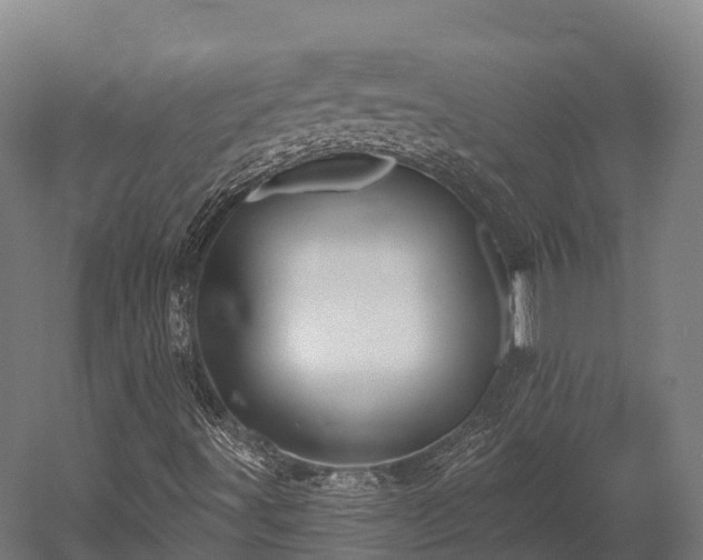 X0000052941491200507151629