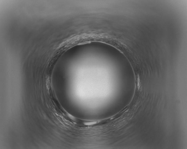 X0000052941492200507151629