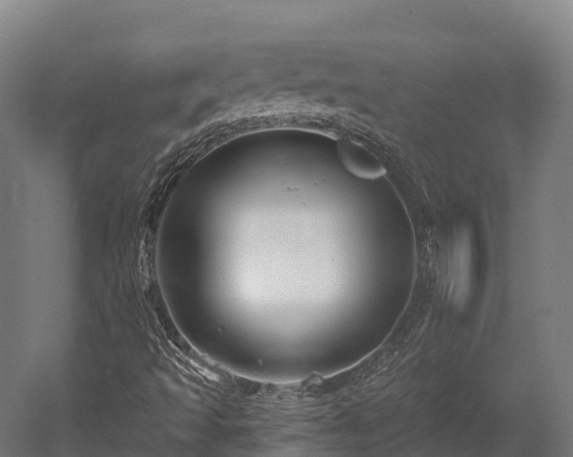 X0000052941493200507151629