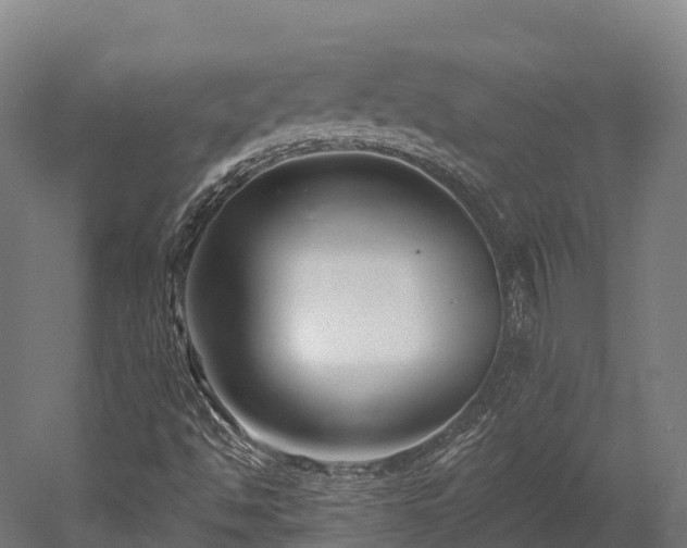 X0000052941494200507151629