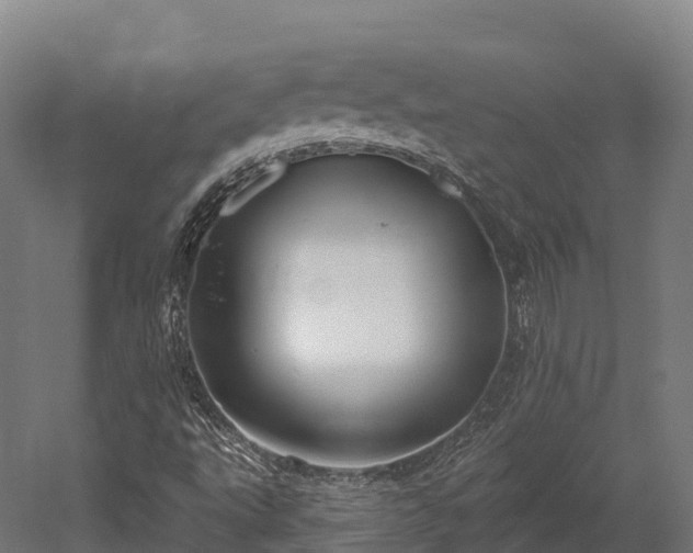 X0000052941495200507151629