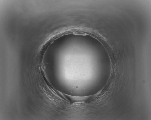 X0000052941496200507151629