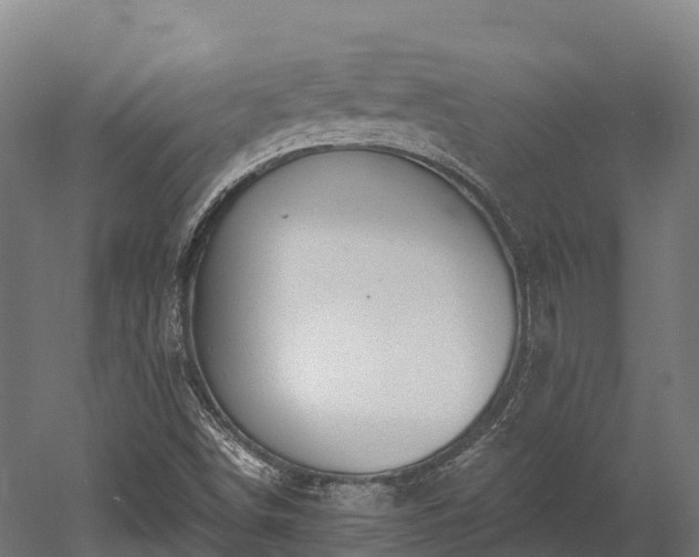 X0000052941498200507151629