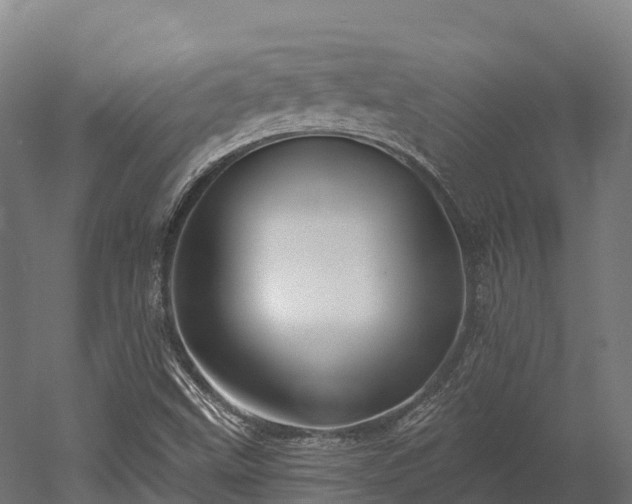 X0000052941499200507151629